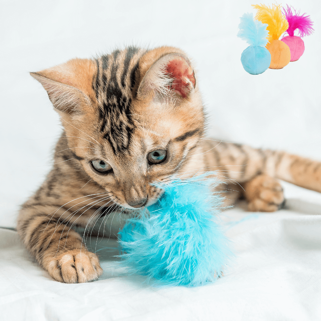 igraca-z-macjo-meto-in-zvonckom